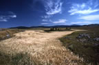 causse mejean